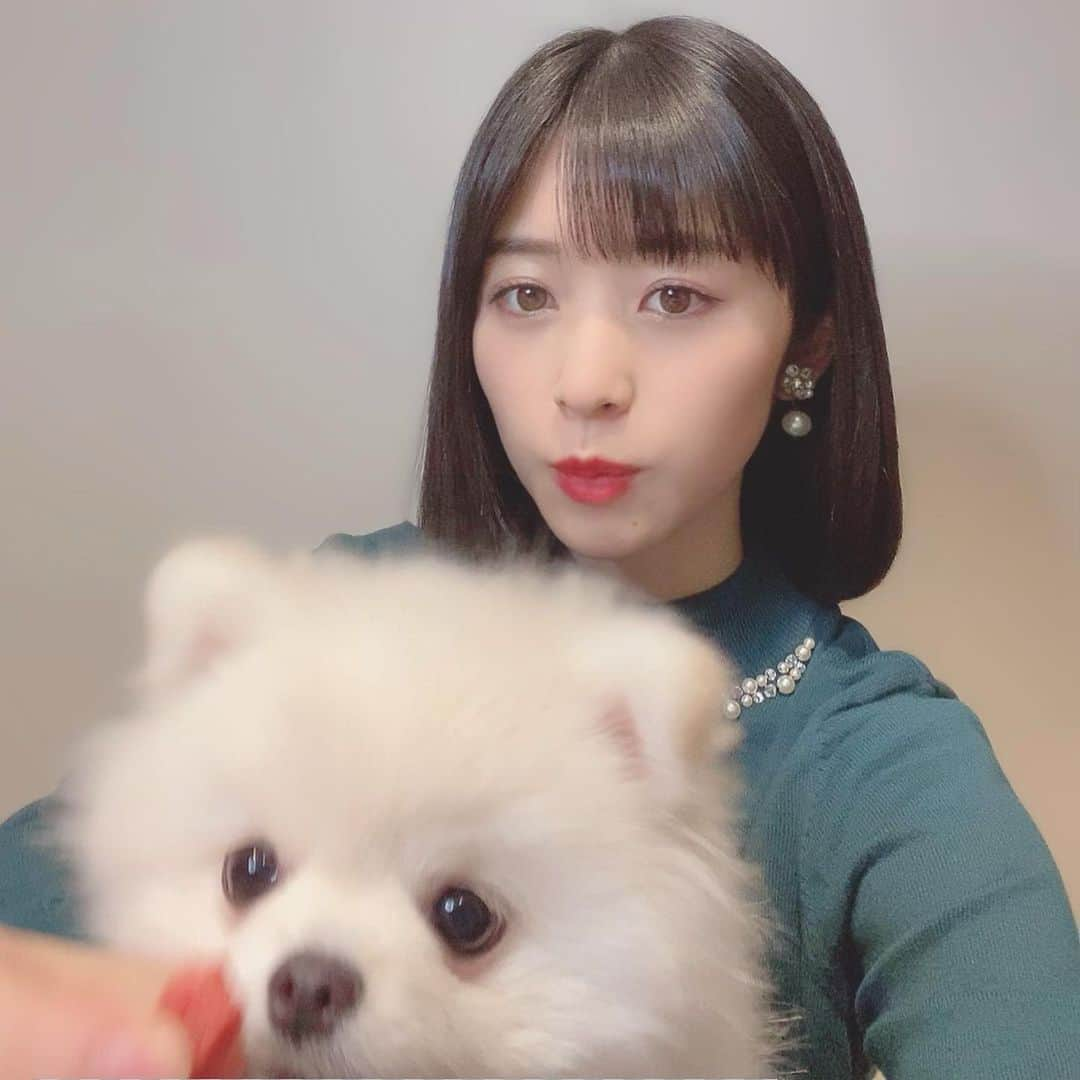 仙石みなみさんのインスタグラム写真 - (仙石みなみInstagram)「. 🍁 食べるなぎちゃん。笑 . #foru #thankyou #dog #pomeranian #ポメラニアン #いぬのいる暮らし」11月24日 0時36分 - sengoku_minami