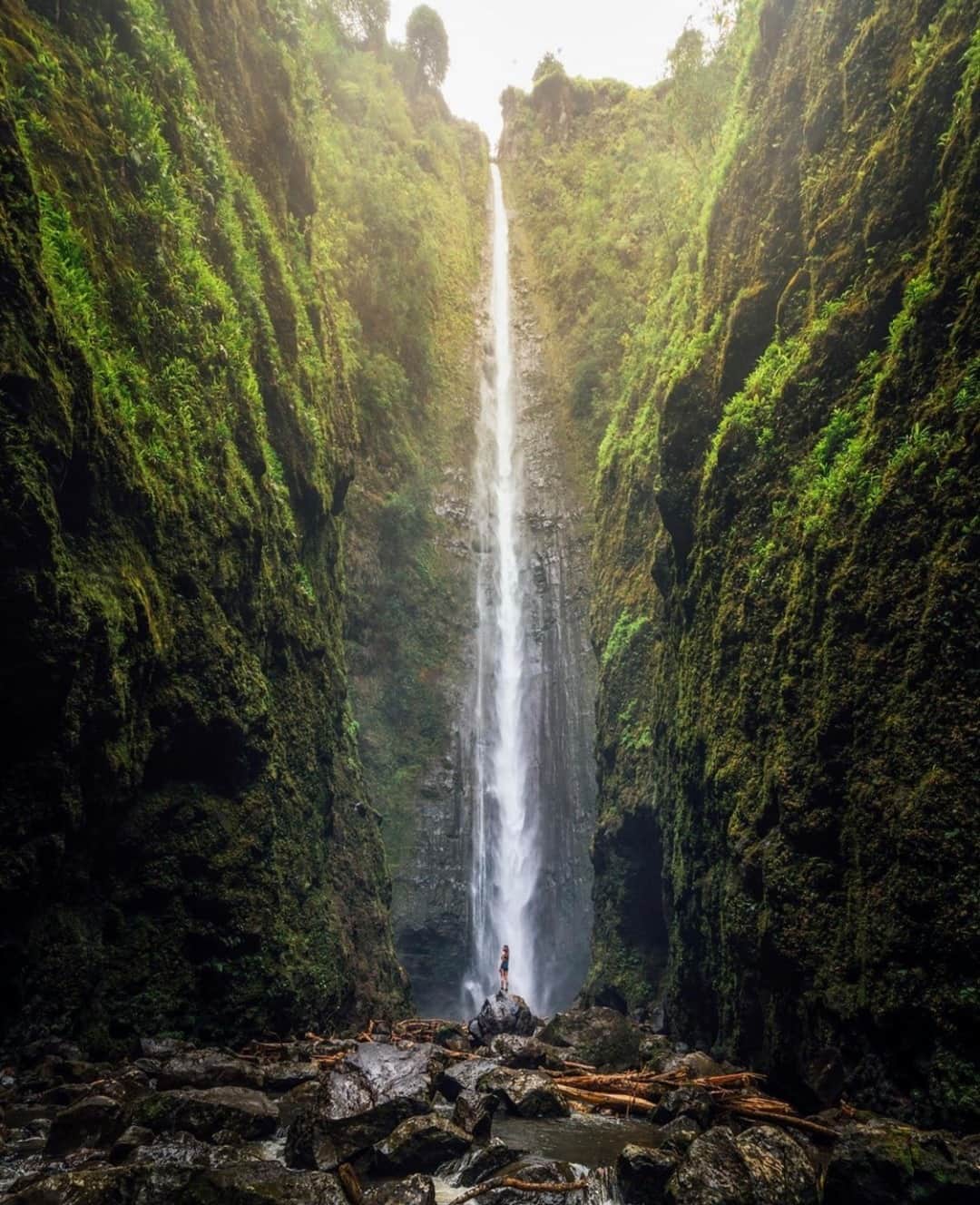 Earth Picsさんのインスタグラム写真 - (Earth PicsInstagram)「Chasing waterfalls in Hawaii 🏝Tag someone you'd like to explore Hawaii with! 📷@vincelimphoto」11月24日 1時01分 - earthpix
