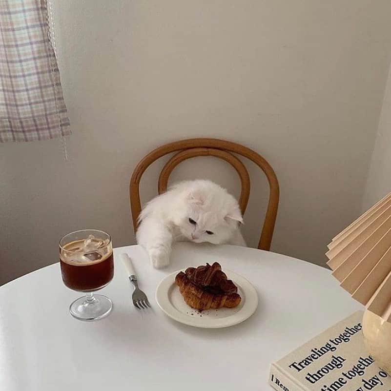 グラフ&ランツのインスタグラム：「The kind of morning where caffeine is necessary (until of course you realize our Give Thanks Sale is on now...) ☕️ via @especialbk」