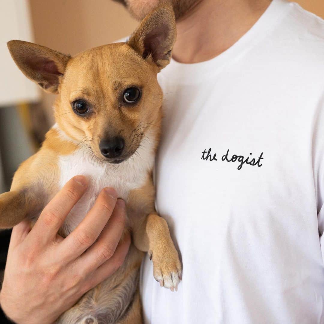 The Dogistさんのインスタグラム写真 - (The DogistInstagram)「It’s NYC! It’s dogs! It’s the 2020 Dogist Holiday Line! We teamed up with artist @francesmarina to create a collection that is everything NYC and dogs. Frances Smith is a New York based illustrator and a major dog lover who helped us bring this collection to life. Learn more about @francesmarina and shop the new crewneck, t-shirt, tote, dad cap and mug at the shop.thedogist.com!」11月24日 1時59分 - thedogist