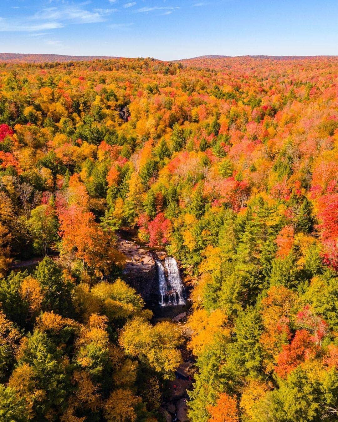 Visit The USAさんのインスタグラム写真 - (Visit The USAInstagram)「Can you spot Muddy Creek Falls in the midst of all that beautiful foliage? 🍁🍂 Located in Swallow Falls State Park, Muddy Creek Falls is one of several waterfalls found in this Maryland park. Tag a friend you would go chasing waterfalls with! #VisitTheUSA 📸 : @marylanddroneguy」11月24日 2時00分 - visittheusa