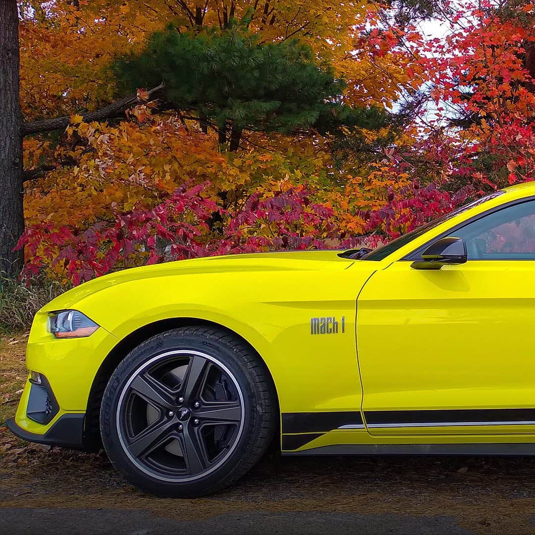 Fordさんのインスタグラム写真 - (FordInstagram)「After a 40-year absence, Grabber Yellow is back – available on the 2021 Mustang, Mustang GT, all-new Mustang Mach 1 and Shelby® GT500.®​ .​ #Ford #FordMustang #MustangMach1 #Mustang #Mach1​ .​ Preproduction model shown. 2021 Ford Mustang Mach 1 available early spring 2021. GT500 and Shelby are registered trademarks of Carroll Hall Shelby Trust.」11月24日 2時05分 - ford