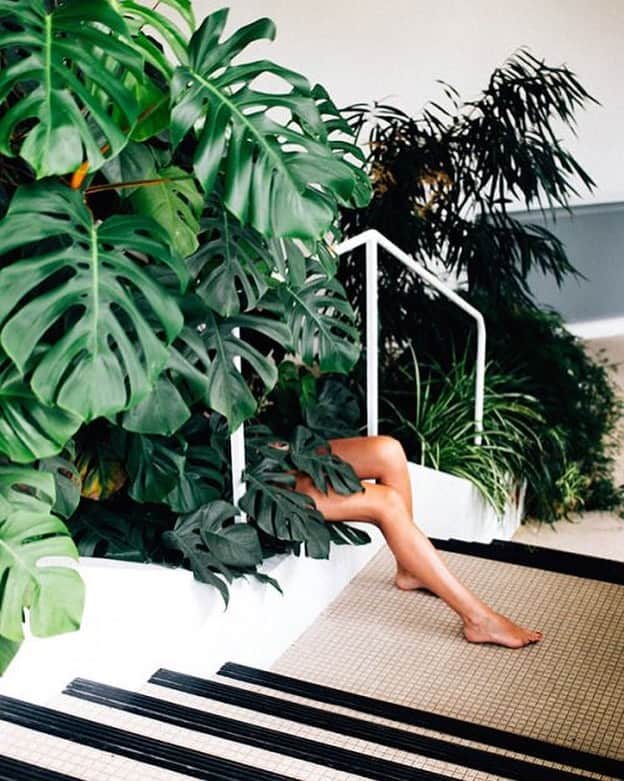 カレントエリオットのインスタグラム：「a case of the mondays…. 📷: @mehdilacoste_  #inspo」