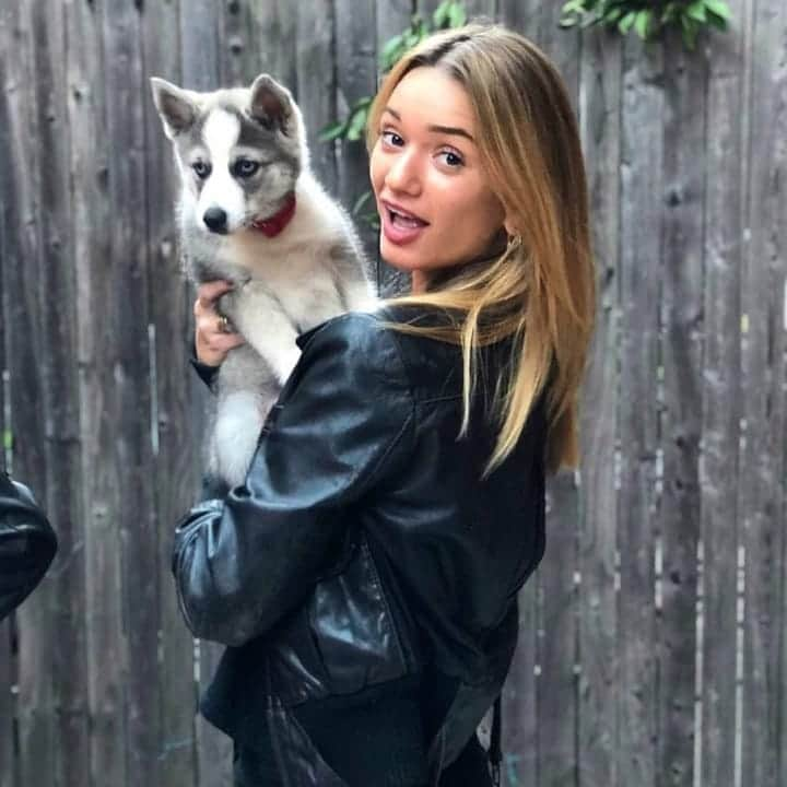 さんのインスタグラム写真 - (Instagram)「Caught in the act of stealing Brandon's new puppy!!! Meet Dakota 😍😍😍😍😍😍😍😍😍」11月24日 3時18分 - gem.gems