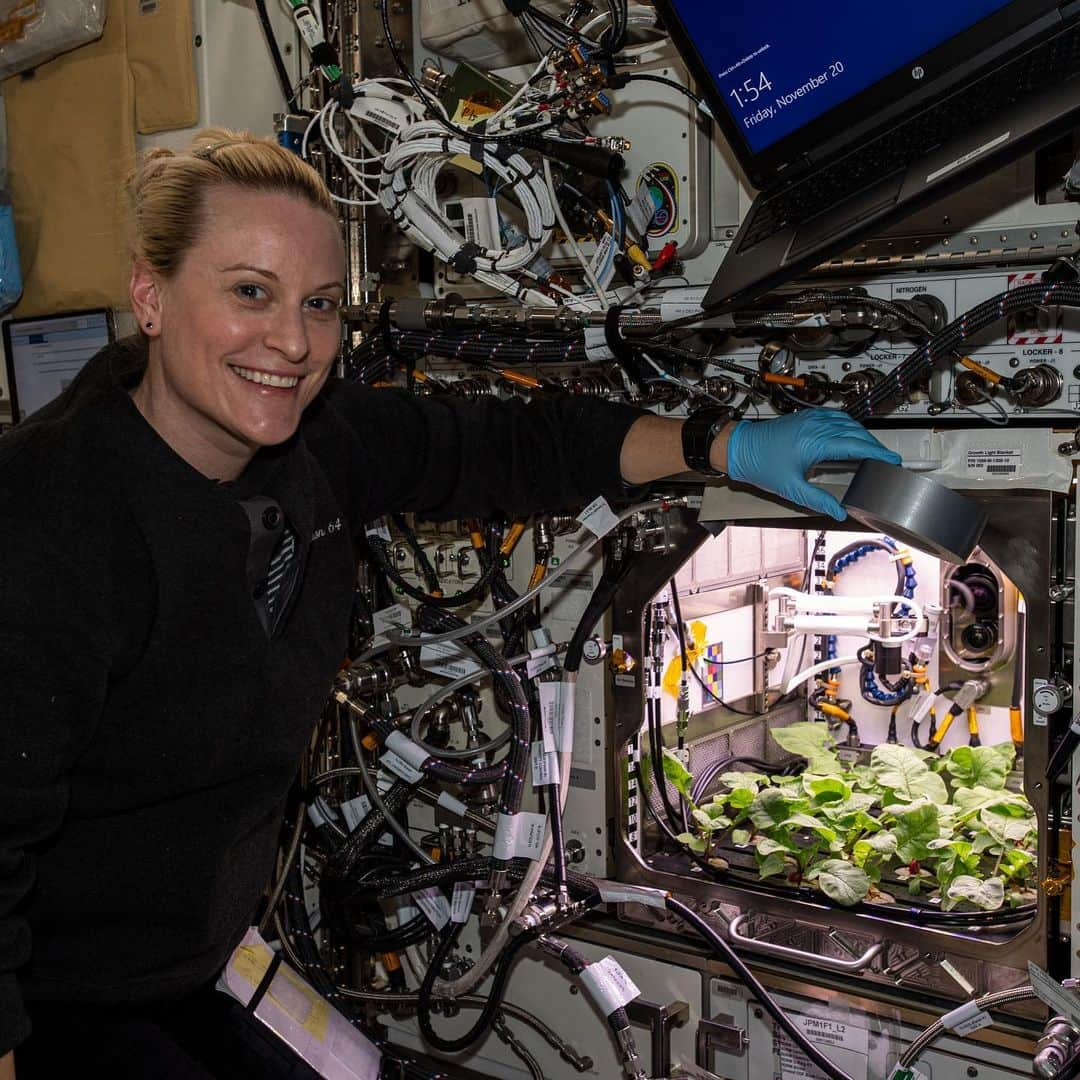 国際宇宙ステーションさんのインスタグラム写真 - (国際宇宙ステーションInstagram)「The seven-member Expedition 64 crew has been busy ramping up science on the space station. 1) NASA astronaut Shannon Walker, 2) JAXA astronaut Soichi Noguchi, 3) NASA astronaut Victor Glover, 4) NASA astronaut Michael Hopkins, 5) NASA astronaut Kate Rubins, 6) Roscosmos cosmonaut Sergey Ryzhikov, 7) Roscosmos cosmonaut Sergey Kud-Sverchkov #nasa #jaxa #astronaut #roscosmos #cosmonaut #unitedstates #japan #russia #international #space #station」11月24日 3時28分 - iss