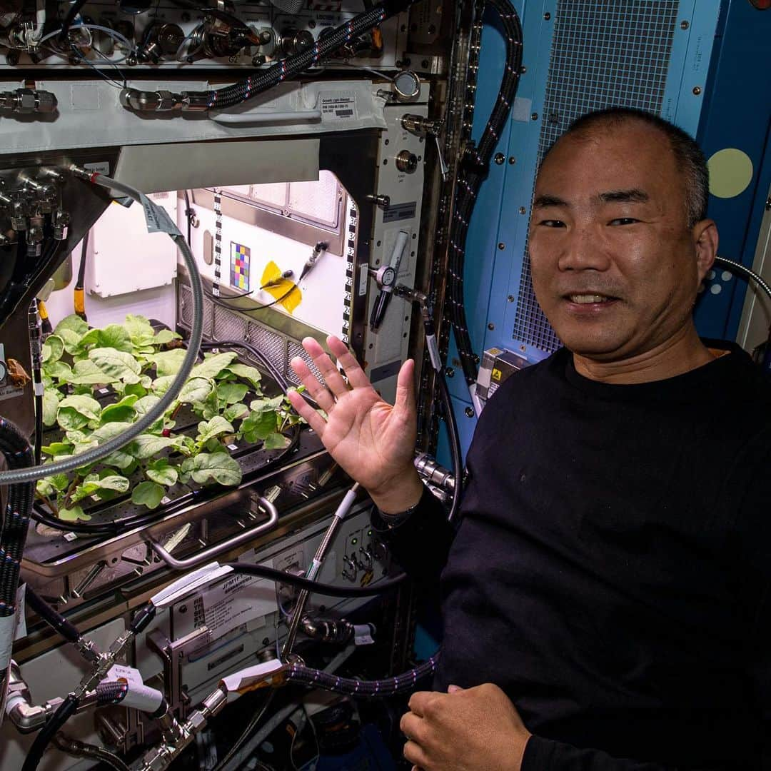 国際宇宙ステーションさんのインスタグラム写真 - (国際宇宙ステーションInstagram)「The seven-member Expedition 64 crew has been busy ramping up science on the space station. 1) NASA astronaut Shannon Walker, 2) JAXA astronaut Soichi Noguchi, 3) NASA astronaut Victor Glover, 4) NASA astronaut Michael Hopkins, 5) NASA astronaut Kate Rubins, 6) Roscosmos cosmonaut Sergey Ryzhikov, 7) Roscosmos cosmonaut Sergey Kud-Sverchkov #nasa #jaxa #astronaut #roscosmos #cosmonaut #unitedstates #japan #russia #international #space #station」11月24日 3時28分 - iss