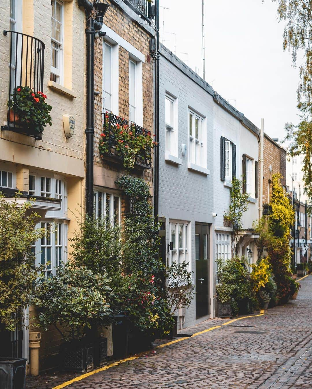 @LONDON | TAG #THISISLONDONさんのインスタグラム写真 - (@LONDON | TAG #THISISLONDONInstagram)「The beautiful #KynanceMews in #SouthKensington. Who would love to live in a little London mews like this? ☺️👇🏼🇬🇧❤️ // 📸 @mrlondon   ___________________________________________  #thisislondon #lovelondon #london #londra #londonlife #londres #uk #visitlondon #british #🇬🇧 #londonmews #mews #kensington」11月24日 3時23分 - london