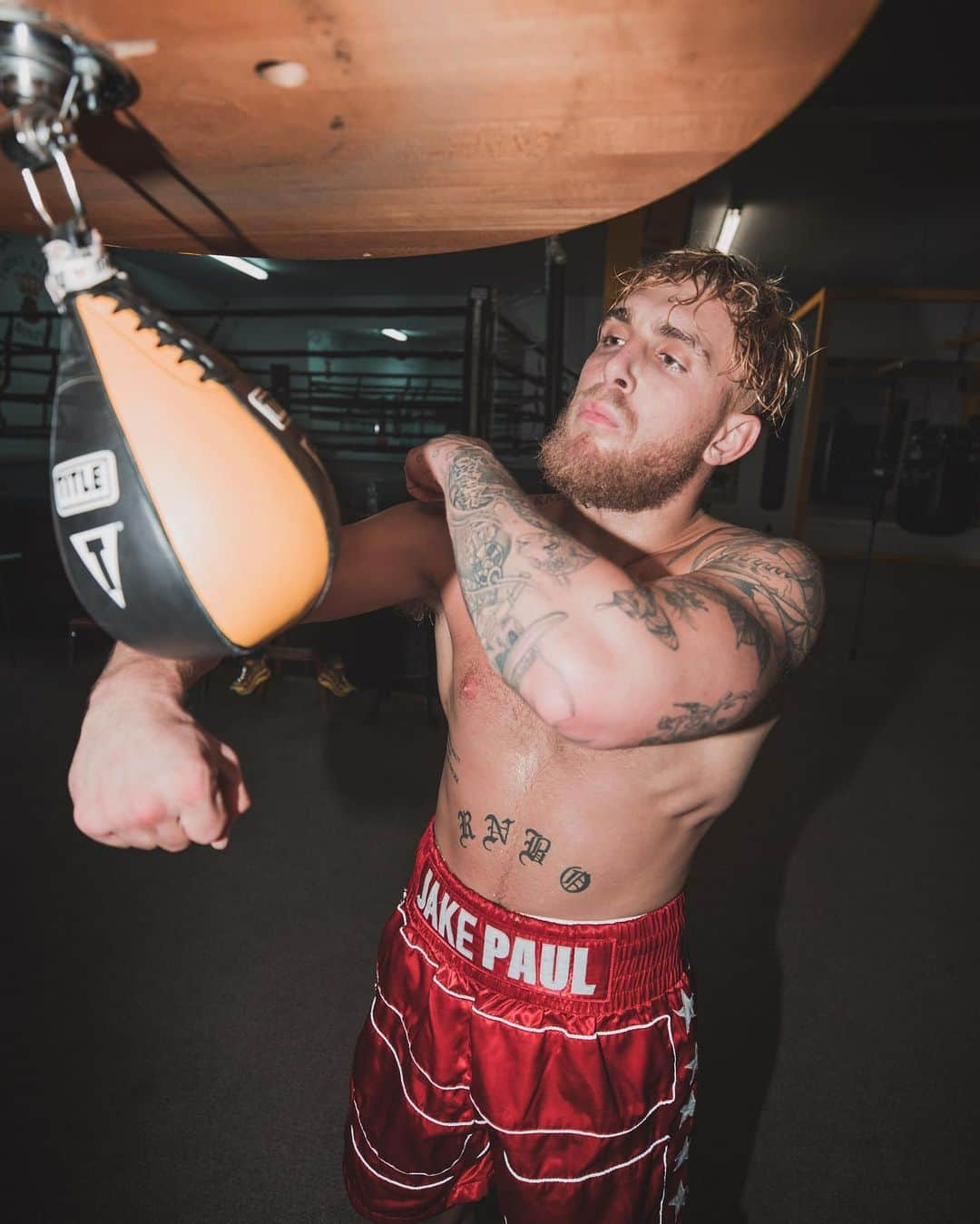 ジェイク・ポールさんのインスタグラム写真 - (ジェイク・ポールInstagram)「FIGHT WEEK. PRBLM CHILD ACTIVATED.」11月24日 3時38分 - jakepaul