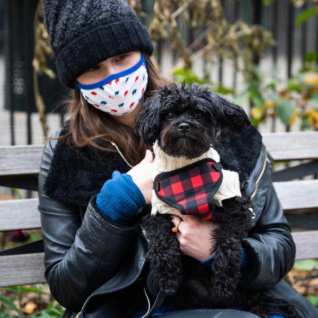 The Dogistさんのインスタグラム写真 - (The DogistInstagram)「Bentley, Pomapoo (4 y/o), Madison Square Park, New York, NY • “He’s neurotic. The joke is that we both equally have the same amount of anxiety. We share the weighted blanket. He also ‘air swims’.”」11月24日 4時21分 - thedogist