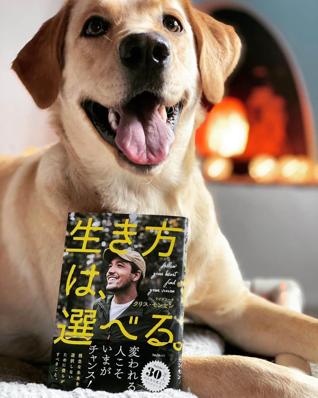 クリスのインスタグラム：「「生き方は、選べる。」、2冊目の本をフォレスト出版さまから出版致しました！新しい時代の波が来る今こそ、僕たちはこれまでのやり方、そして何を大切にして行きたいのかを見つめ直すことが必要だと思います。この本の中では心とマインドをアライメントする大切さの説明や感情とメンタルのワーク、そして本の特典として役1時間ほどのワークビデオも付いております。ぜひ手に取って頂ければ幸いです。　本のリンクはプロフィールからアクセスできます♪」