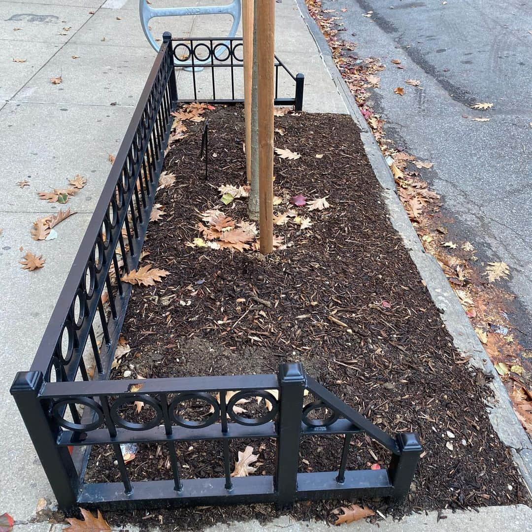 キャロル・ラドジウィルのインスタグラム：「Excited for my next garden project: During the first quarantine I created a back alley garden behind my building which, if you saw my previous posts back in June, turned out amazing!! I bought planters, I  borrowed planters and I went “street shopping” to find garden furniture and plants that were being tossed. I’m told this is called “up-cycling”. Who knew?? • Next up are the four front tree beds adjacent to my building. This required expanding tree beds, getting one new tree, and installing guards so I needed the NYC Parks Dept to sign off on it. So I wrote to the Parks Dept. We met to take measurements.  Then I called every week to “check in.” Then I begged. Then I pretend cried. It took 7 months but today I got the guards and new tree planted!! Slide over to see my inspiration for landscaping. (That picture was taken at lower 5th Ave). I was thinking pink Belgian stone & colorful annuals in the middle.  Thoughts? 🌷🌻🌺🌸🌼」