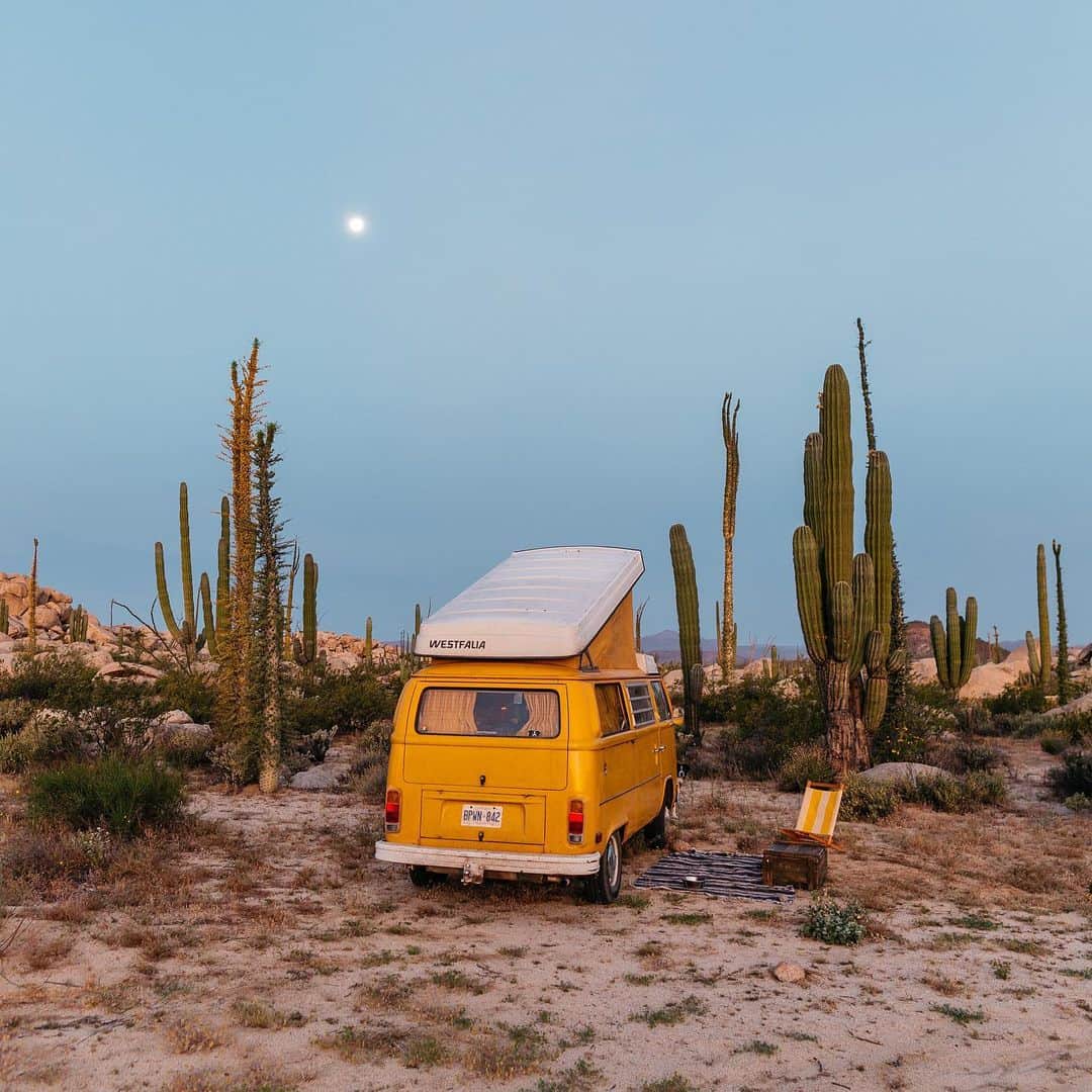 Andrew Knappのインスタグラム：「Find Momo in the desert. 🌵   I miss putting down the Baja with Momo in this little break down mobile. But even more than that I’m excited for what’s next. I’ll be posting my weekly Find Momo gallery on my Patreon shortly, this time from a trip down in Mexico. Raise your hand if you found us originally because Momo is a real good hide-and-seeker! 🙋🏻‍♂️   PS. The van is *still* in the new shop and I’ve decided to fully let go of “wanting” the van to be finished. It will come when it comes. 🙂」