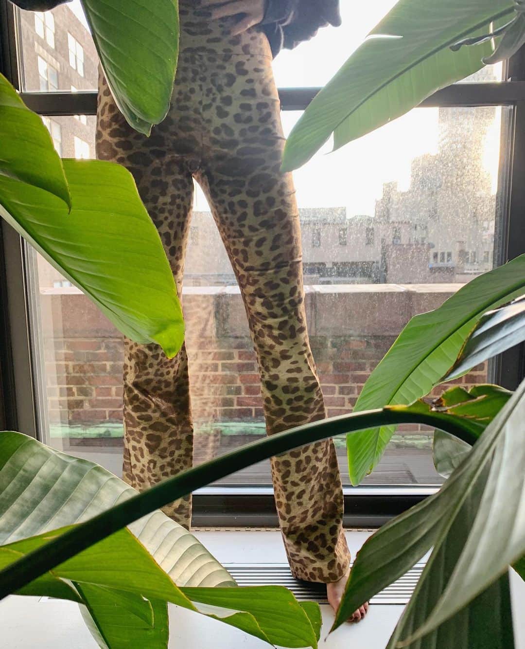 ニコールミラーのインスタグラム：「Wild new prints on our Lurex Leopard pants 🐾 #NMHoliday2020」