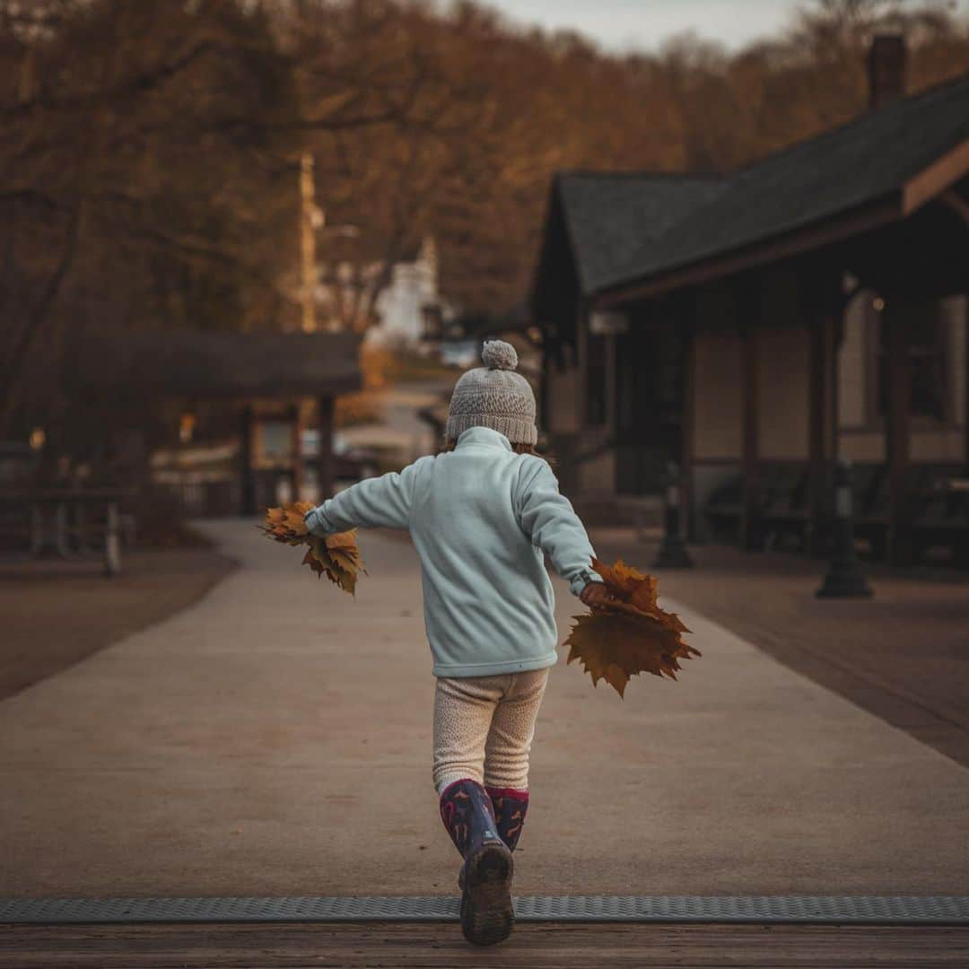 エミリー・デ・レイヴィンさんのインスタグラム写真 - (エミリー・デ・レイヴィンInstagram)「All the Autumn vibes happening right now! 🍂🍁🍂  📷 @eb.photogeography  #autumn #fall #ohiopylestatepark #rvlife #lifeontheroad #mumlife #momlife #toddlerlife #kidlife」11月24日 7時19分 - emiliede_ravin