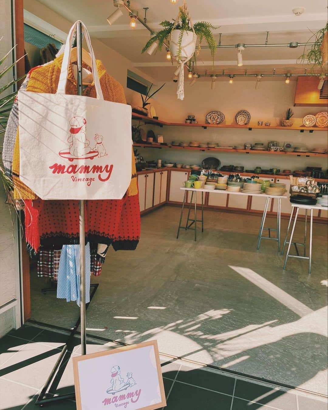 国枝洋子さんのインスタグラム写真 - (国枝洋子Instagram)「@seagreen_kamakura  LIFE STYLE POP UP SHOPに お越し頂きありがとうございました✨  本当にたくさんの方に足を運んで頂き、 3日間大盛況で終える事ができました🎉  感謝しかありません…😭✨  そして私自身、凄く貴重な経験になりました。  まだまだ未熟者ですが 次のステップにいけるように これからも頑張っていくので よろしくお願い致します☺️✨」11月24日 7時31分 - kunieda_yoko
