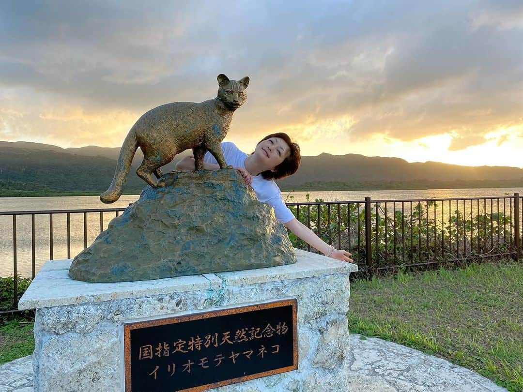 野本かりあのインスタグラム：「夕陽とイリオモテヤマネコ像と。 #西表島　#keen #野本かりあ」