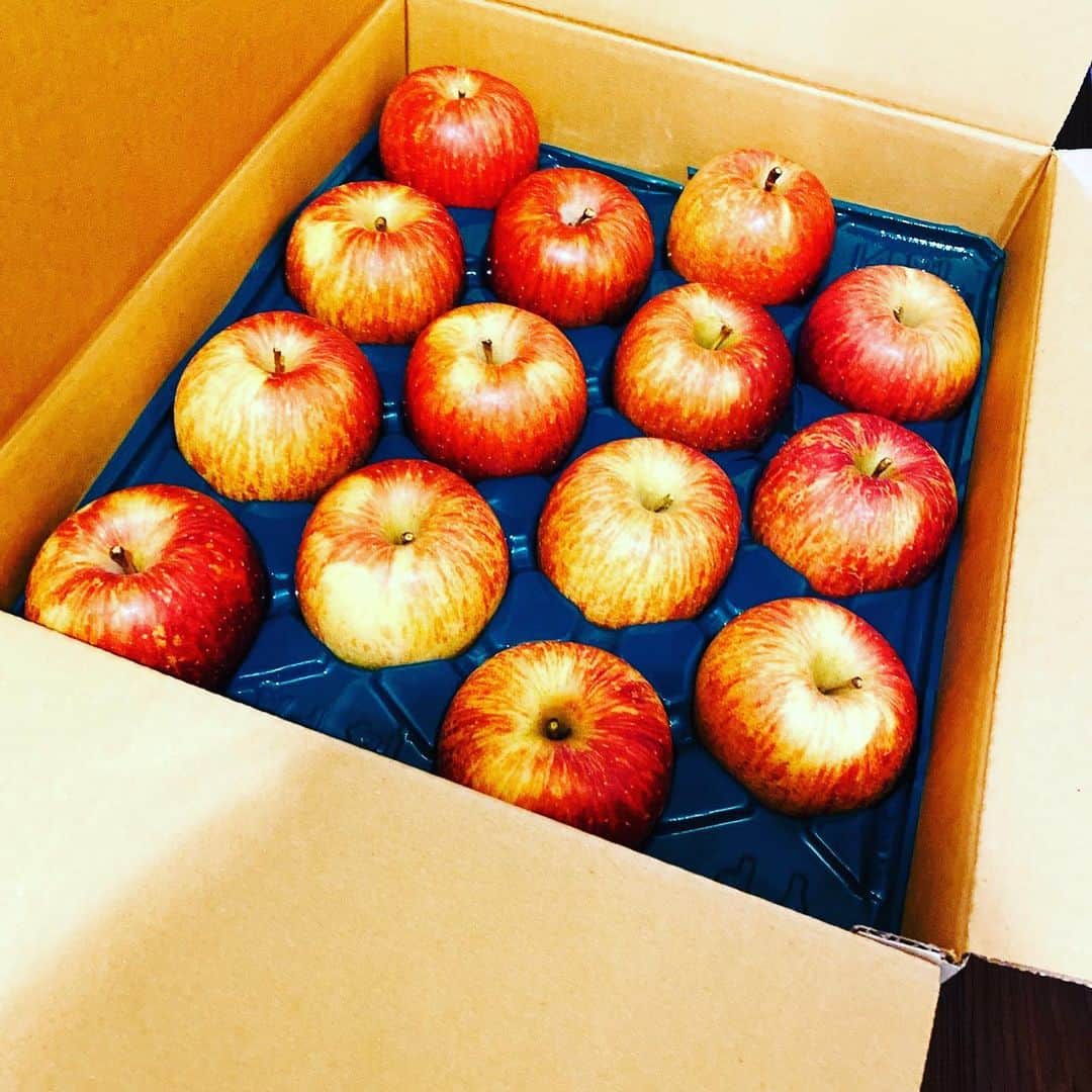 永井裕子さんのインスタグラム写真 - (永井裕子Instagram)「大好きなフルーツ😍 りんごが大量に届きました🍎 嬉しぃ〜❤︎ 早速、皮ごとムシャムシャ❣️  美味しぃ〜🍎  #永井裕子  #りんご  #フルーツだいすき💕  #いつもありがとうございます  #皮ごとたべるよ」11月24日 16時55分 - yuko_nagai_