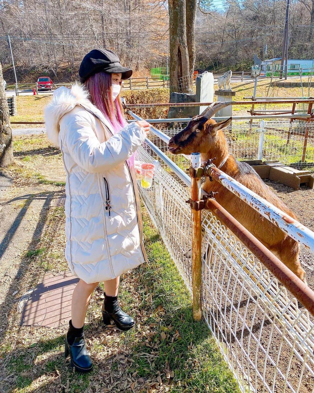 松本ゆんのグルメインスタ