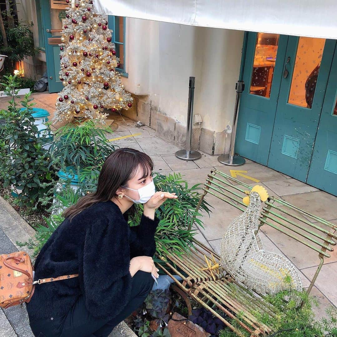 内海里来さんのインスタグラム写真 - (内海里来Instagram)「🐓🐓🐓🎄いいお天気たのしかった  #三条カフェ #キルフェボン #京都」11月24日 17時15分 - ric12_ls