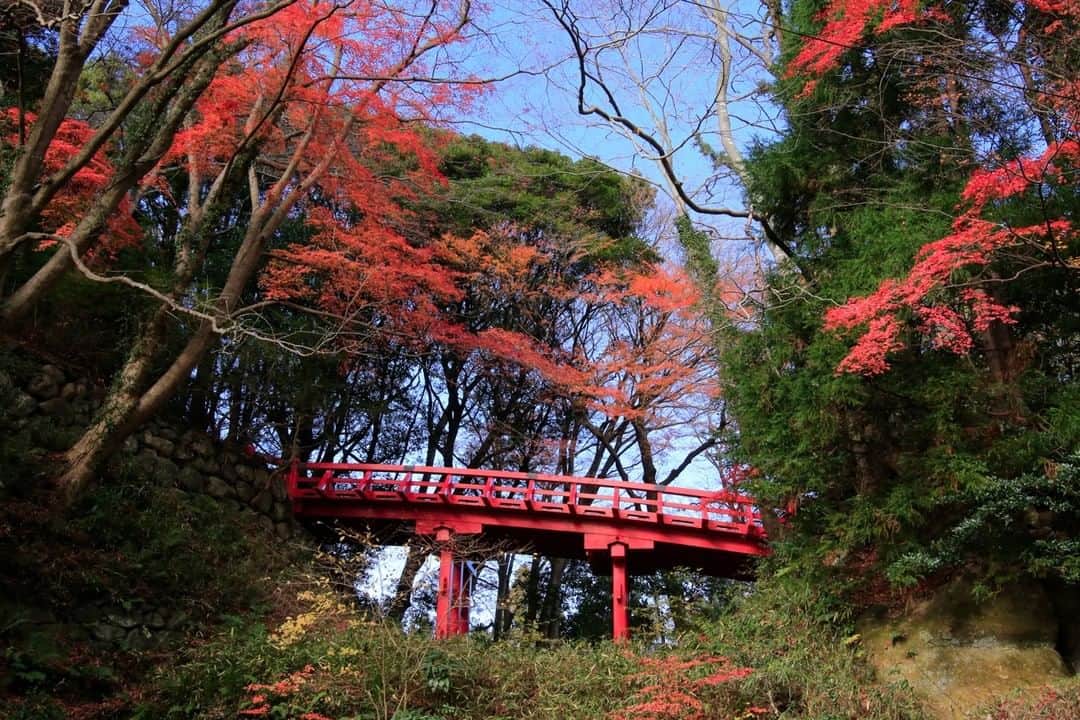 のインスタグラム：「【馬陵公園・赤橋】  相馬利胤（としたね）が築いた相馬中村城の城跡公園です。紅葉のほか、桜の名所としても市民に親しまれています。堀の跡にかかる赤橋がかつての面影を伝えます。  #馬陵公園 #相馬市 #福島県 #somacity #fukushima #traveljapan #futurefromfukushima #ふくしまからはじめよう #新しい生活様式からはじめよう」