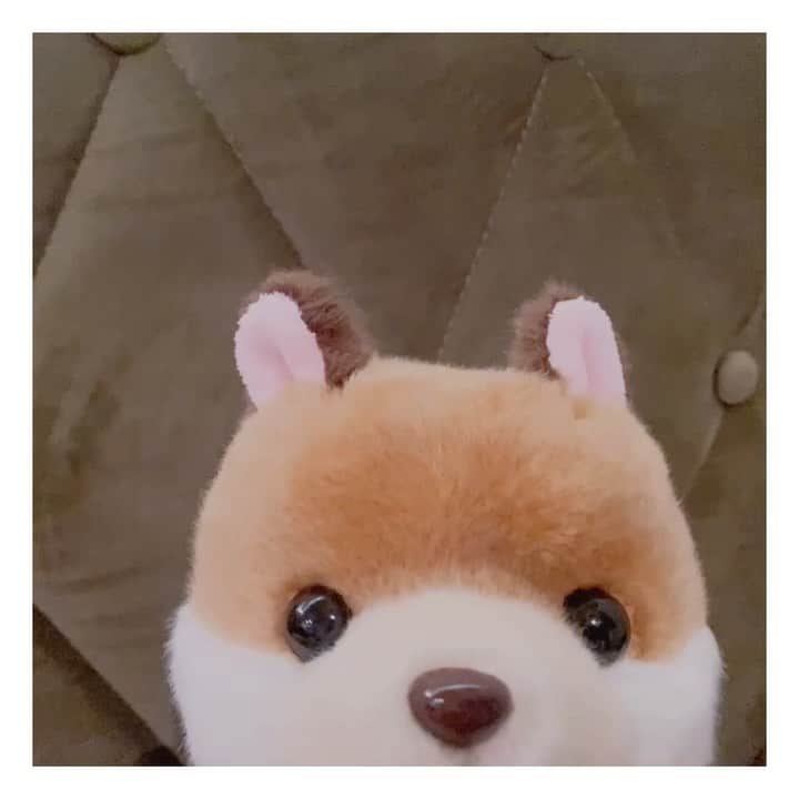 小原好美のインスタグラム