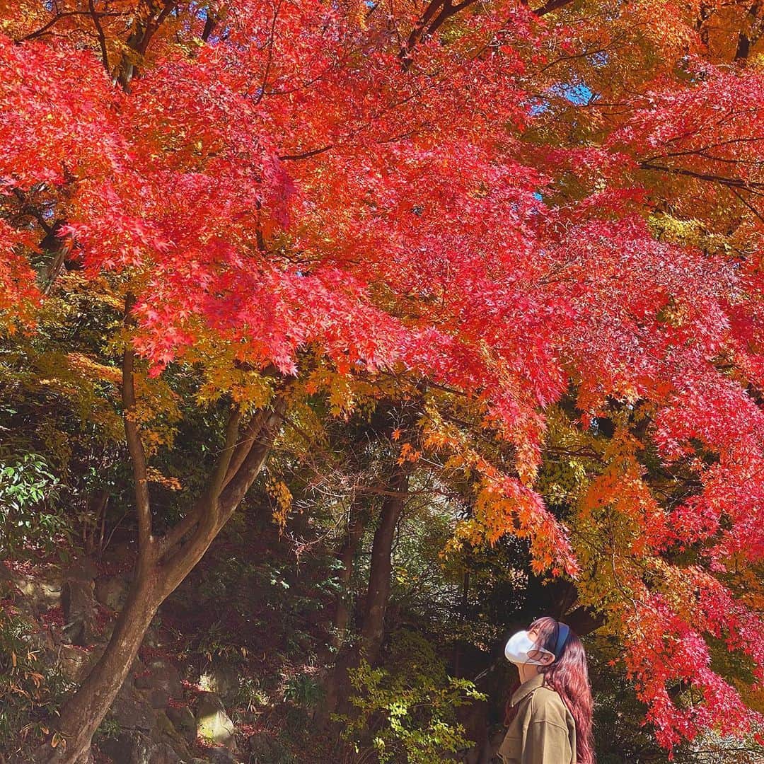 みなみさんのインスタグラム写真 - (みなみInstagram)「紅葉を見に行けたよ🍁  #霞ヶ関#紅葉#二本松」11月24日 17時34分 - mn2ddy