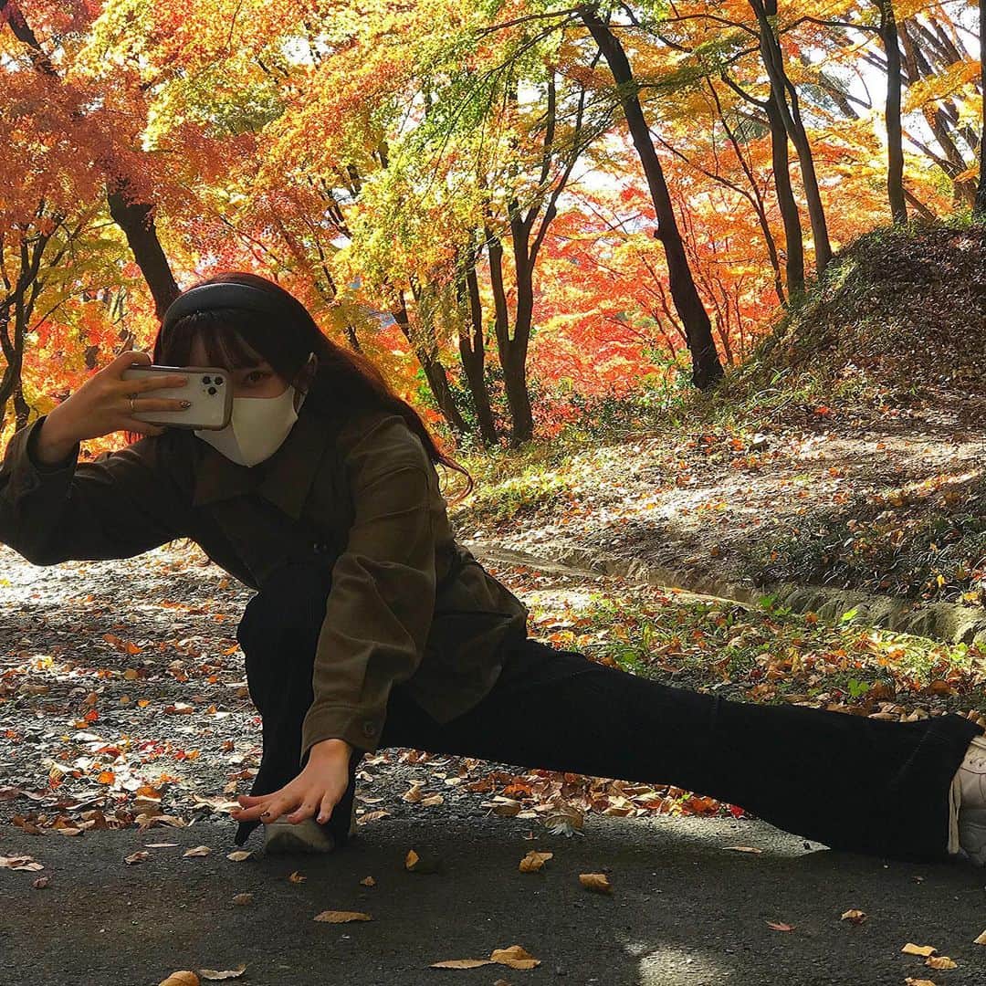 のインスタグラム：「紅葉を見に行けたよ🍁  #霞ヶ関#紅葉#二本松」