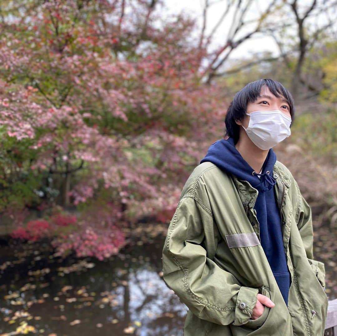 のインスタグラム：「秋と堀内 #秋 #自然 #落ち葉で上手く撮りたかった #さんだる」