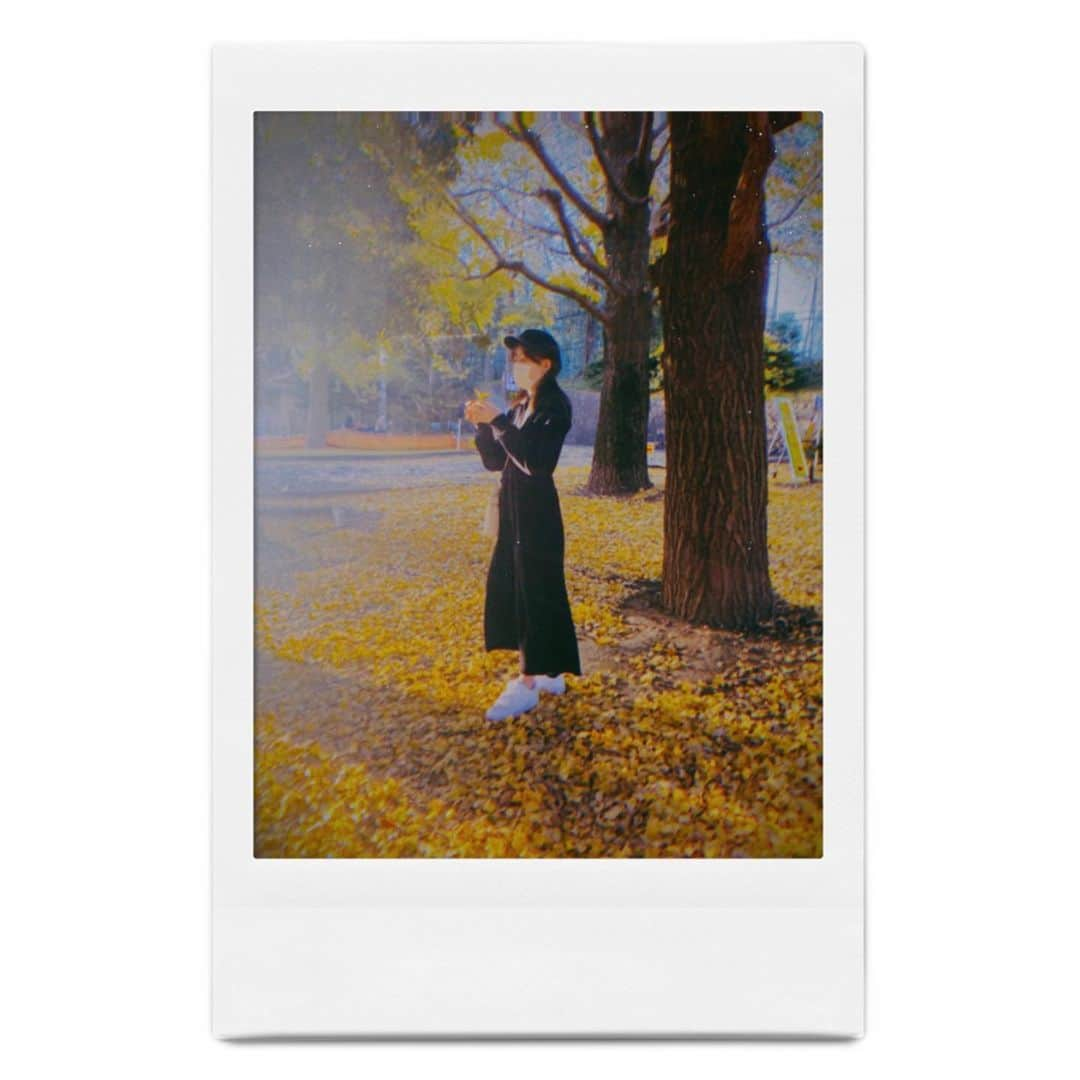 水上京香さんのインスタグラム写真 - (水上京香Instagram)「もう少し、秋を🍂🌾」11月24日 17時52分 - kyokaminakami_official