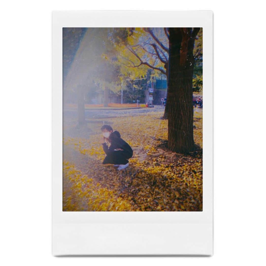 水上京香さんのインスタグラム写真 - (水上京香Instagram)「もう少し、秋を🍂🌾」11月24日 17時52分 - kyokaminakami_official