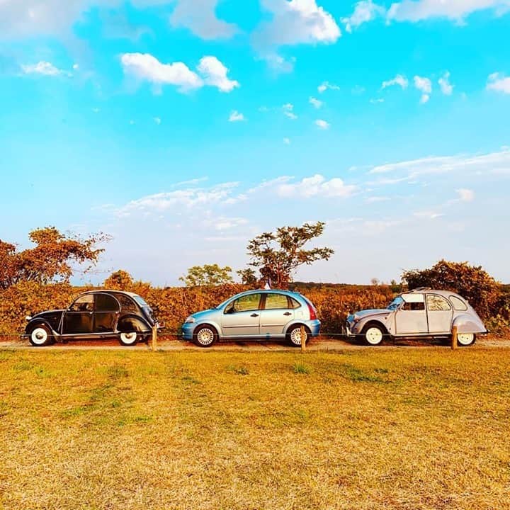 CITROEN JP Officialのインスタグラム