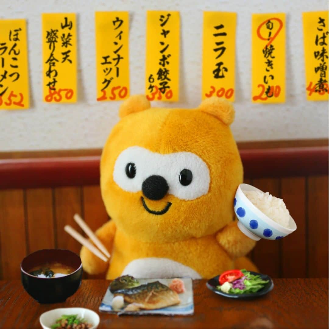 ポンタのインスタグラム：「. . ポンタ de 間違い探し👀 . 1枚めと2枚めで違うところが３つあるよ！ ぜんぶ見つけられるかな？ . . . 答えは3枚めだよ～ 左にスワイプ⬅ してね . . . . . . . ごはん何杯でもいける気がする…🍚🍚🍚 . おかわりしようっと！ . . . . . #間違い探し #くいしん坊ポン才 #食欲の秋 #食通 #さば塩焼定食 #美味しい #もちろん大盛 #ランチ #定食屋 #ponta #ポンタ #ぬい撮り部 #ぬい撮り #ぬいどり #ぬいすたぐらむ #ポンスタグラム #撮りポン」