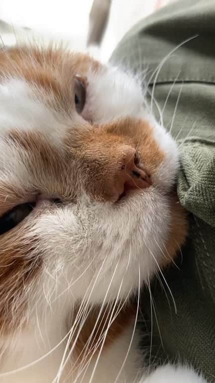 外山輝信のインスタグラム：「ほぼ毎朝やってます。うんちに大きく影響があります。」