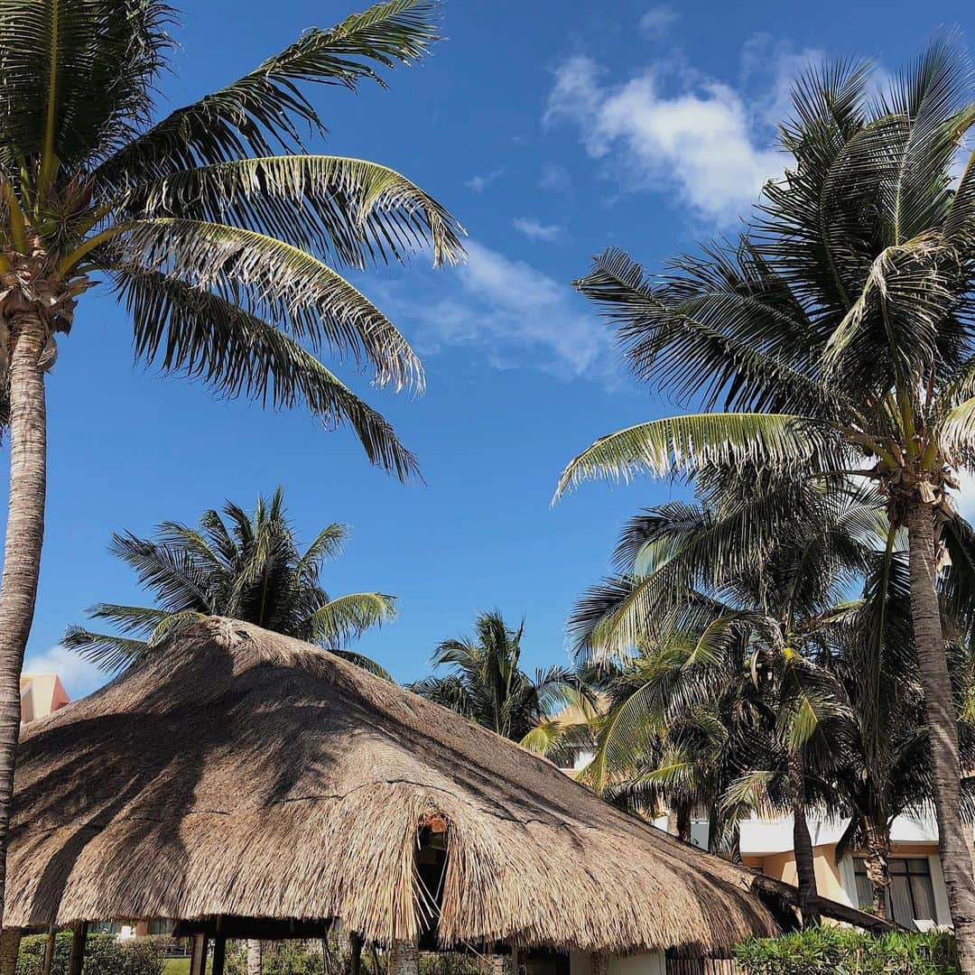 アシュリさんのインスタグラム写真 - (アシュリInstagram)「2018 BC (Before Corona) 비포 코로나 🤯 Miss the beautiful clean beaches! 🏝」11月24日 9時41分 - ashleybchoi