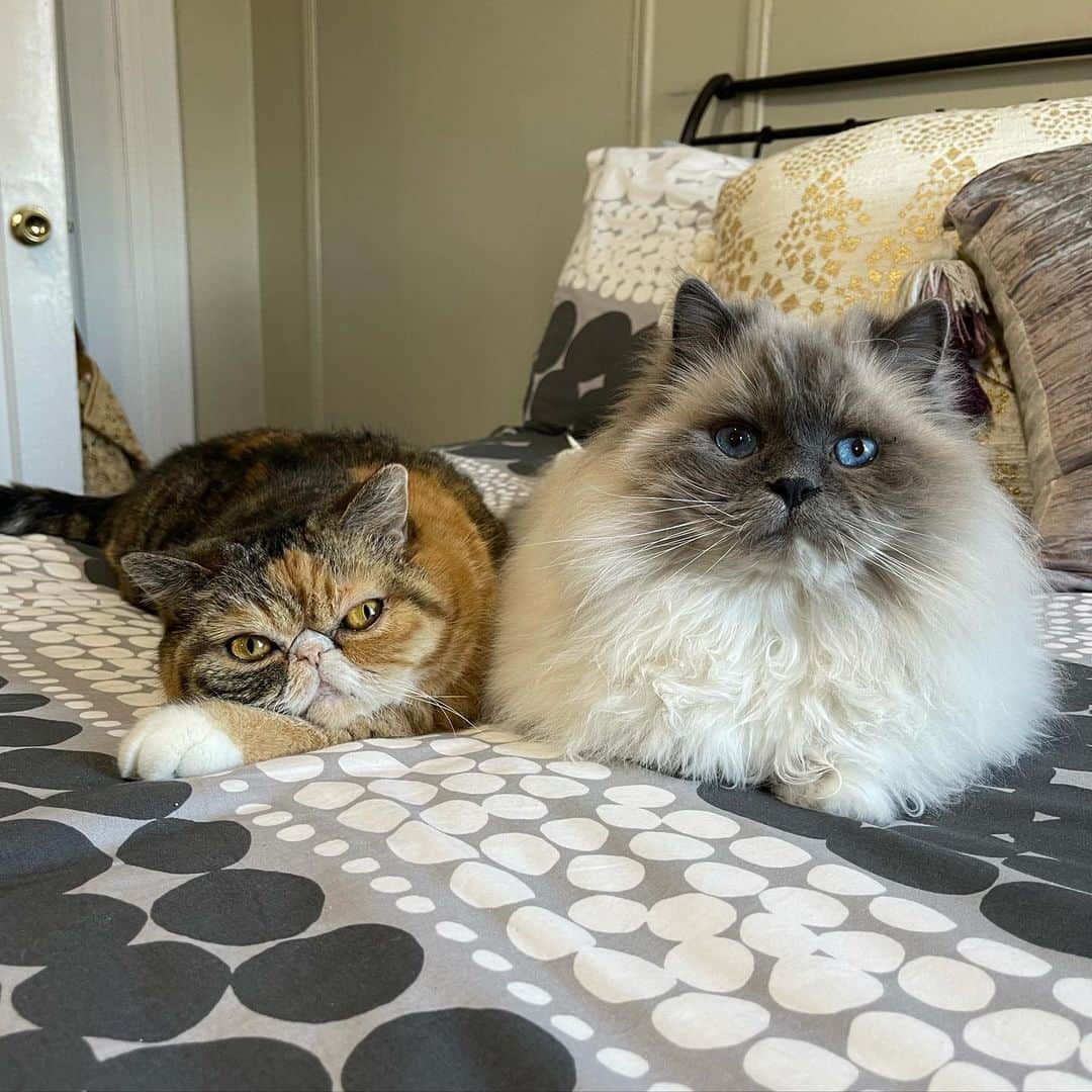 Tinaのインスタグラム：「We are fine. 😅 #BFFs」