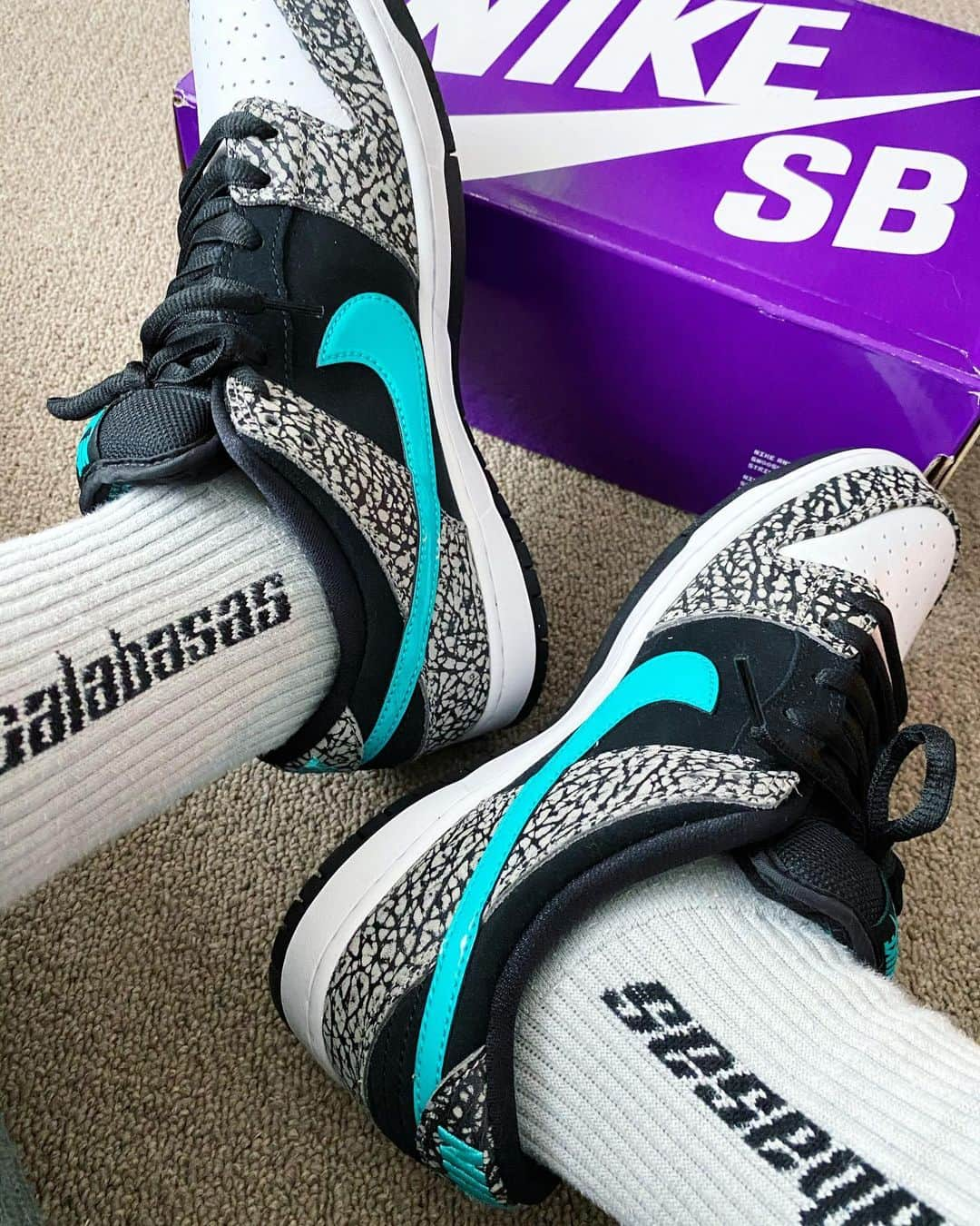 バトシンさんのインスタグラム写真 - (バトシンInstagram)「象さんこちら  #nikesb #nike #elephant」11月24日 10時08分 - takatimun