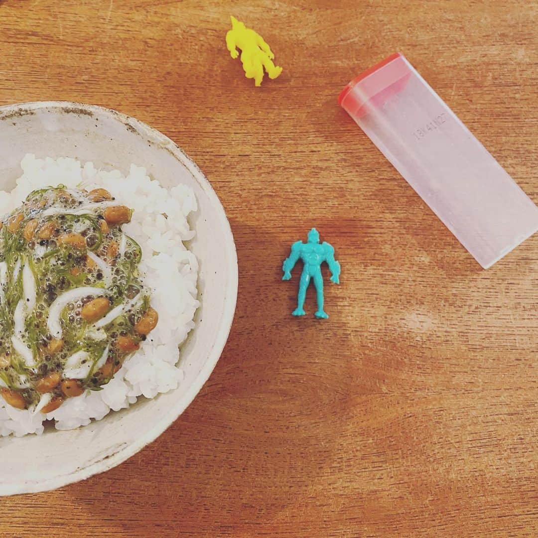 浜島直子さんのインスタグラム写真 - (浜島直子Instagram)「バッタバタで息子を送り出した後大慌てで朝昼兼用の納豆ご飯を流し込もうとしたら、目が合った。  うむ。散らかってたって死にゃあせん。(と、自分に都合の良い解釈を🤣)  今日も良い1日に！✨✨✨ ・ #チョコベビーの空き箱 #お風呂で遊ぶから捨てるなと #大量のお菓子の箱に袋にトイレットペーパーの芯 #もはや我が家は #ゴミや #し #き #ではございません #と思うことにしてる😂 #誰にも聞かれていませんが #納豆にはめかぶとシラスと黒すりごまを混ぜてます #3日食べ続けると #私的に美肌になる気がする💋」11月24日 10時35分 - hamaji_0912