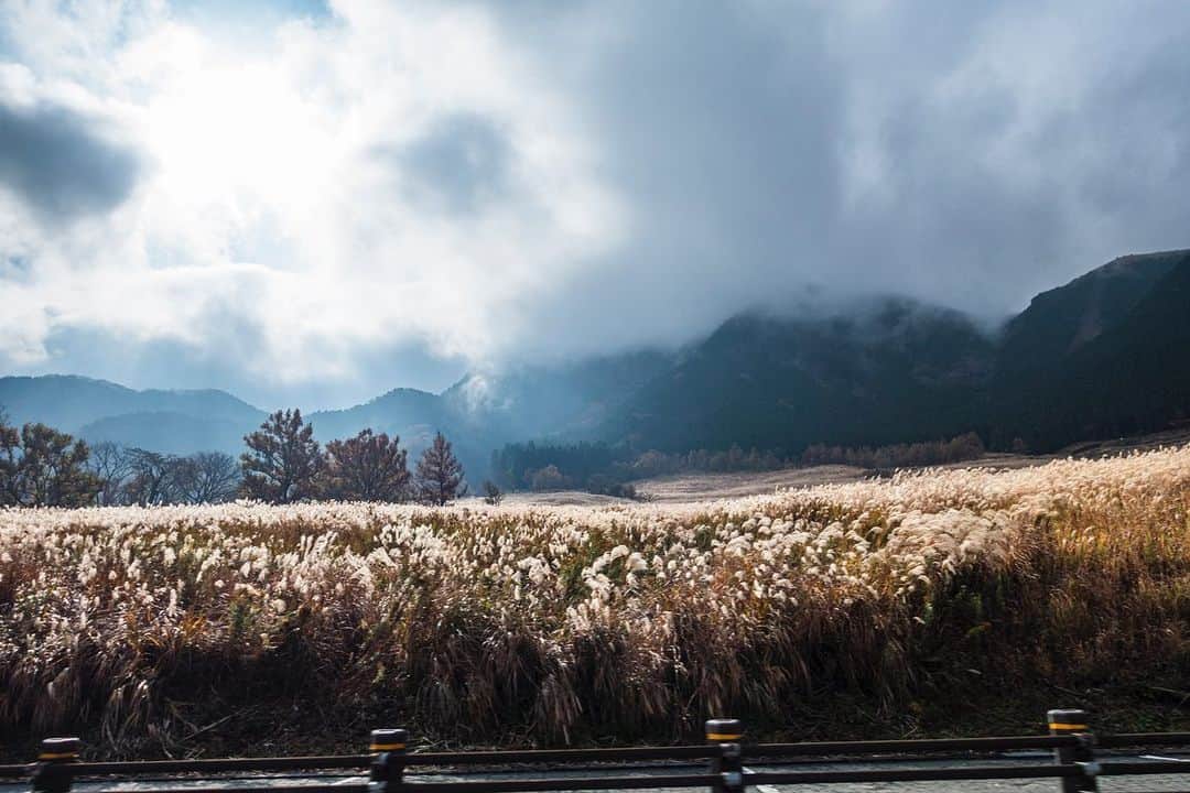 栗田善太郎のインスタグラム：「カメラマン平川雄一朗による写真日記『漂流diary』78週目アップ！ 今週は福岡・佐賀・熊本へ。11月観測史上最高気温もあった先週の九州の風景です。 @hirakaway  #写真 #日記 #九州 #福岡 #唐津 #阿蘇 https://bigmouth.co.jp/culture/801.html」