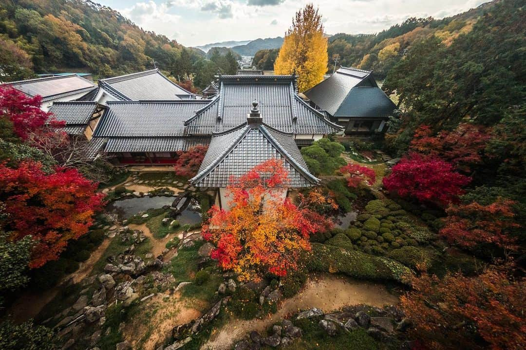 Bi Rod by Lumica.のインスタグラム：「【Bi Rod Creator's Photo】 ＃027 ■Photo by 木村琢磨 @takuma_kimura_photo  ■Photo at 大通寺庭園 石寿園 Daitsu-ji Temple Garden, Yakage, Okayam  2018/ 11  ■Equipment Rod： Bi Rod 6C-7500 Camere: GoPro HERO7 Black  「ドローンなしでこのアングル」  最大7.5mのハイアングルから撮影できる 高所撮影一脚「Bi Rod」  ↓商品情報はプロフィール欄のURLから公式ストアへ @birod_lumica  #birod #lumica #ルミカ #木村棒 #写真好きな人と繋がりたい #写真 #空中撮影 #空撮 #ハイアングル #ドローン #aerialphotography #notdrone #highangle #GoProHERO7Black #gopro #gopro7 #goproのある生活 #岡山県 #岡山市 #大通寺 #Daitsu-jiTemple #都道府県指定名勝 #お寺 #寺社仏閣 #江戸時代後期 #池泉鑑賞式 #中西源兵衛」