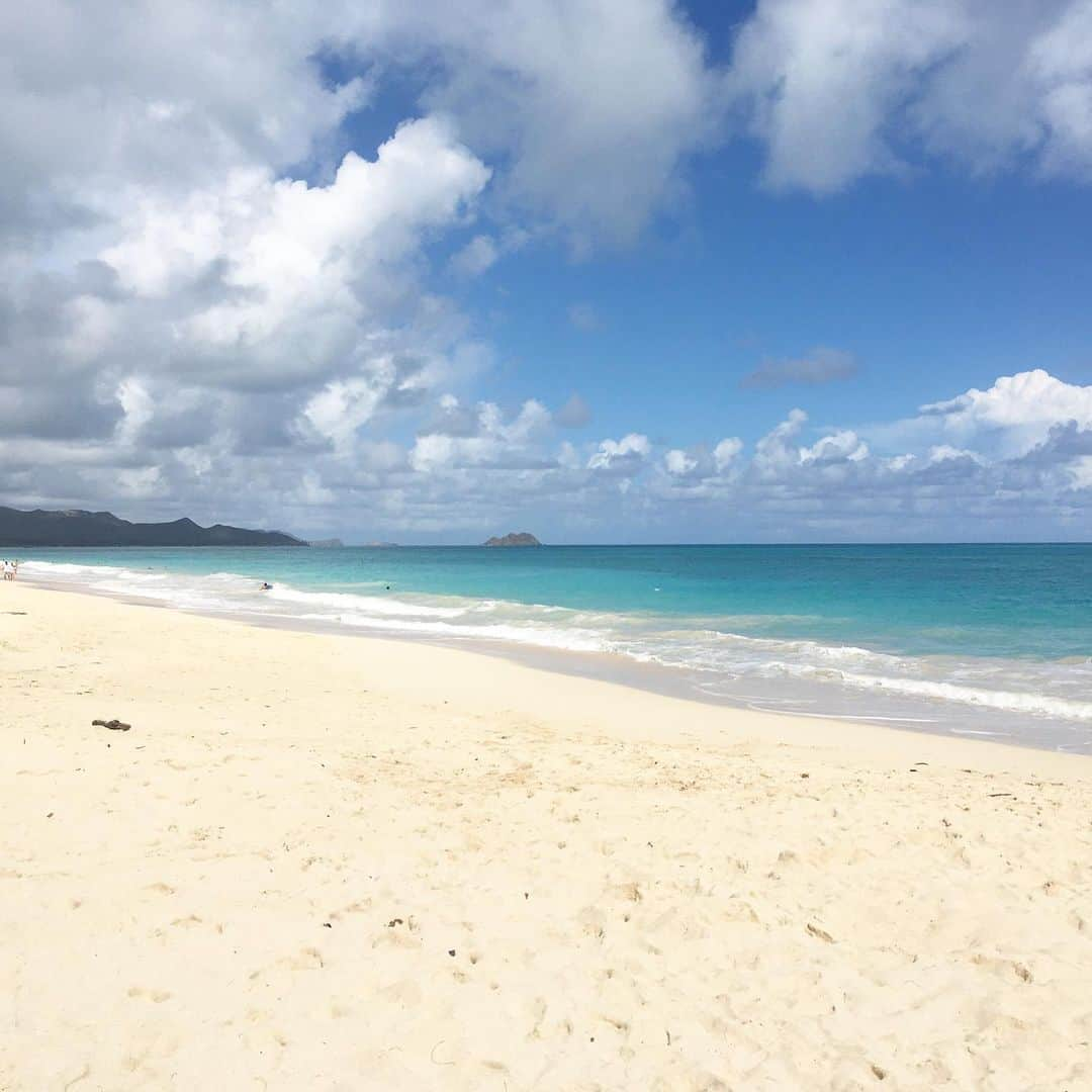 Kujira Clubさんのインスタグラム写真 - (Kujira ClubInstagram)「✳︎ 今日のハワイ。 ワイマナロビーチ。 白浜が続き、海の色も青く澄んでいます。 ✳︎ ハワイ情報🍍 ポリネシアン・カルチャー・センターは2021年1月18日から再開を決定しました！ ✳︎ タイムシェアセミナー✏️ テーマ「タイムシェアを法人で持つメリットと活用法」 日本時間 11月28日（土）9am-10am ハワイ時間 11月27日（金）2pm-3pm 参加費:無料 申込:要 ⭐︎Facebook の方 https://us02web.zoom.us/webinar/register/WN_yCzgwgmaRYSRcTtLKIdcLA ⭐︎インスタの方は くじら倶楽部ホームページのセミナー情報からお申込み下さい。 ✳︎ くじら倶楽部情報🐳 タイムシェアのリセールを専門にしています。 タイムシェアは不動産ですので、ハワイ州の不動産法に従い売買が必要です。 タイムシェアの売買についてはお気軽にご相談下さい。 リセールは直販の半額以下で取引されています。 ✳︎ お知らせ📢 くじら倶楽部のメルマガはハワイの最新情報、タイムシェアの使い方、読者だけの非公開物件案内やイチオシ物件をご案内。 セミナー情報やメルマガ読者限定イベントもありますので是非読者登録下さい。 くじら倶楽部ホームページより簡単登録できます！ ✳︎ #くじら倶楽部 #kujiraclub #ハワイ  #タイムシェア #ワイキキ #インスタハワイ #ハワイ好きと繋がりたい #ハワイ不動産 #海外不動産 #今日のハワイ #タイムシェアリセール #ワイマナロビーチ」11月24日 12時13分 - kujiraclub