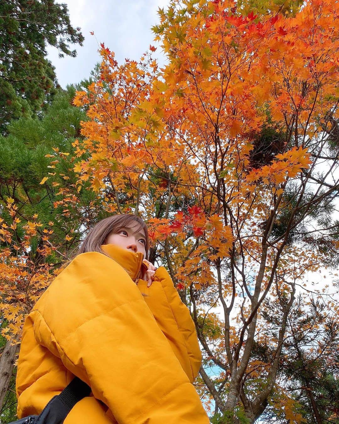 菜々香のインスタグラム：「紅葉とお揃いやないの。 溶け込めるんじゃないかな。 カエデやモミジやナナカやイチョウ そんな季節に乾杯！  ねぇ？もうダウン？！ ううん、これは1ヵ月以上前に東北に行った時！（毎日稽古やから最近の写真がないの←） 既にめっちゃ寒くて紅葉も色づいていた🍁🥺✨  さて今日もお稽古一日頑張りまーす！！🥰  #日本の秋#紅葉スポット#東北」