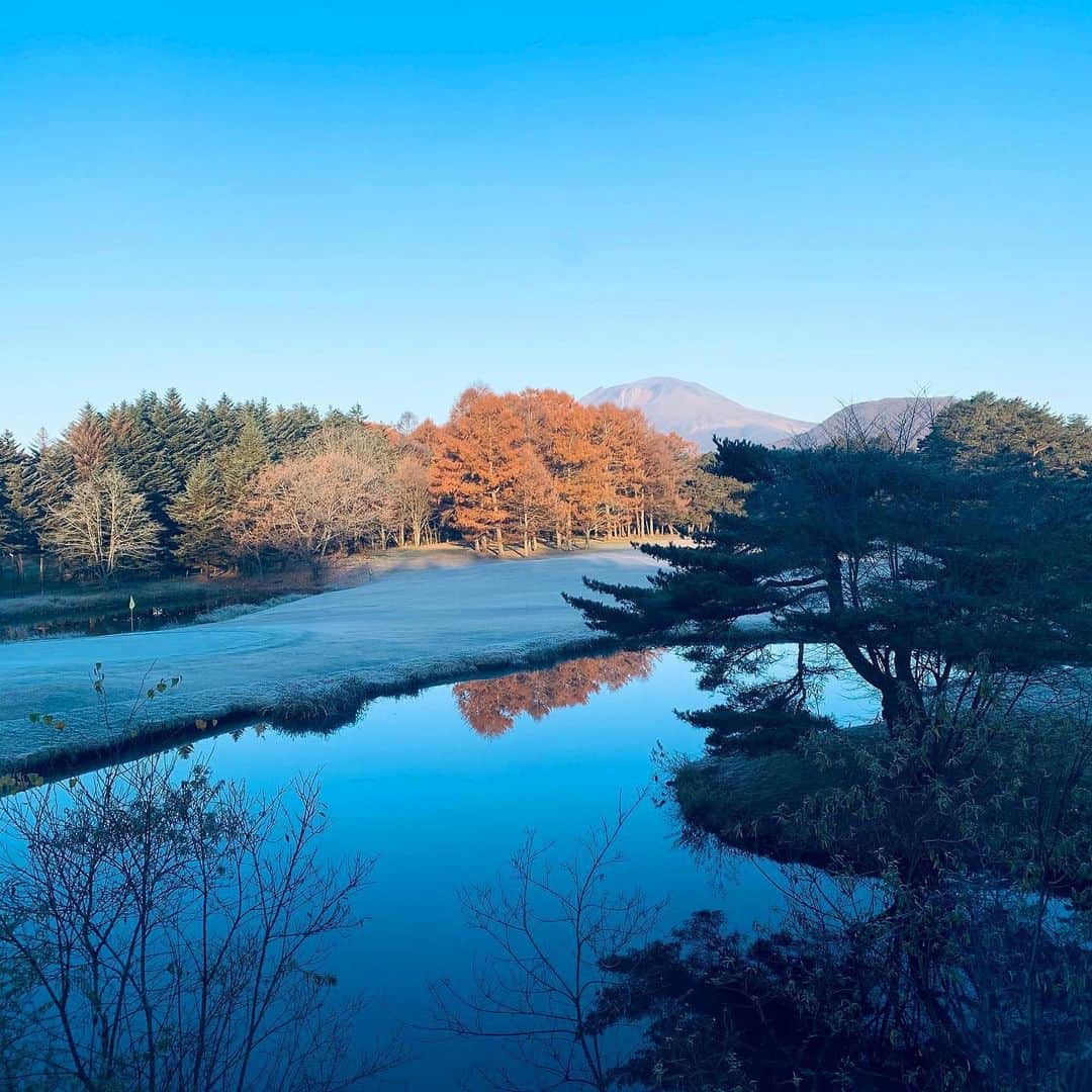 沢井美空のインスタグラム：「🍁﻿ ﻿ ﻿ ﻿ ﻿ アップデートして更新の仕方ずっとわからなかった、、リールって何、、🤔」