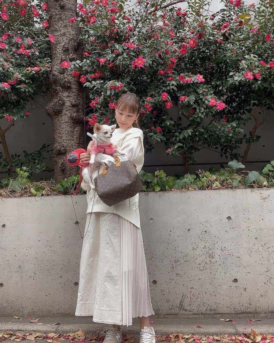 椎名美月のグルメインスタ