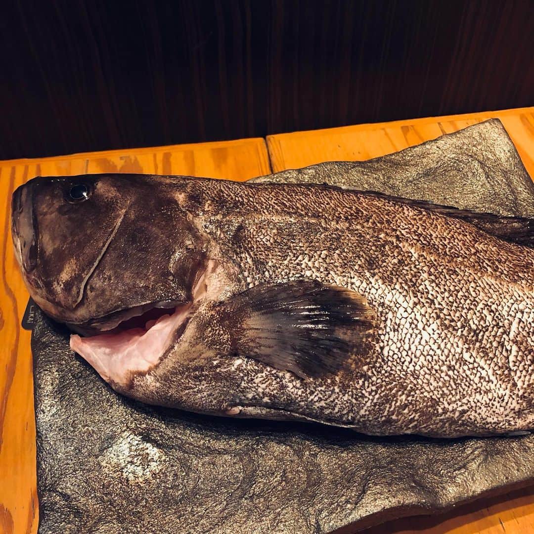 浪花ろばた 頂鯛 北新地店のグルメインスタ