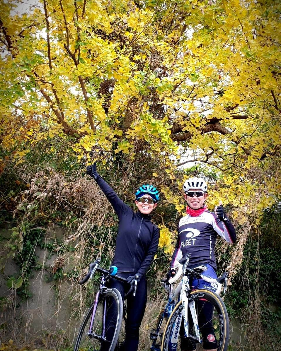 上田藍さんのインスタグラム写真 - (上田藍Instagram)「. 🍁🍂Autumn ride🚴‍♂️🚴🏯☕💛 #bridgestonebike  #autumn🍁  ：：：：：：：：： 今日はいつもバイクのメカニックなどでお世話になっている相田さんと🍁秋の気配🍁を感じるバイクライドへ行ってきました🚴🚴‍♂️✨ 曇り空でしたが気温も低くなりすぎず、紅葉した銀杏の木や、18年も千葉に住んでいるのに一度も行ったことのなかった千葉城🏯に立ち寄ってみたり...と、景色&お喋りを楽しみながら、あっという間の80kmでした💨✨ その後は軽く12kmのジョギングをして本日のトレーニングを終了～😆👌オフシーズンのトレーニングが本格的に始まるまでは、気儘にゆったりと体を動かしつつ、季節の移ろいを感じながらホノボノとすごしていきたいと思います🥰🌿 #秋ライド🍁🚲️ #千葉城🏯 #イチョウが色鮮やか💛 #カフェタイムもあり☕💕 #感謝🌱」11月24日 13時47分 - ai_love_tri