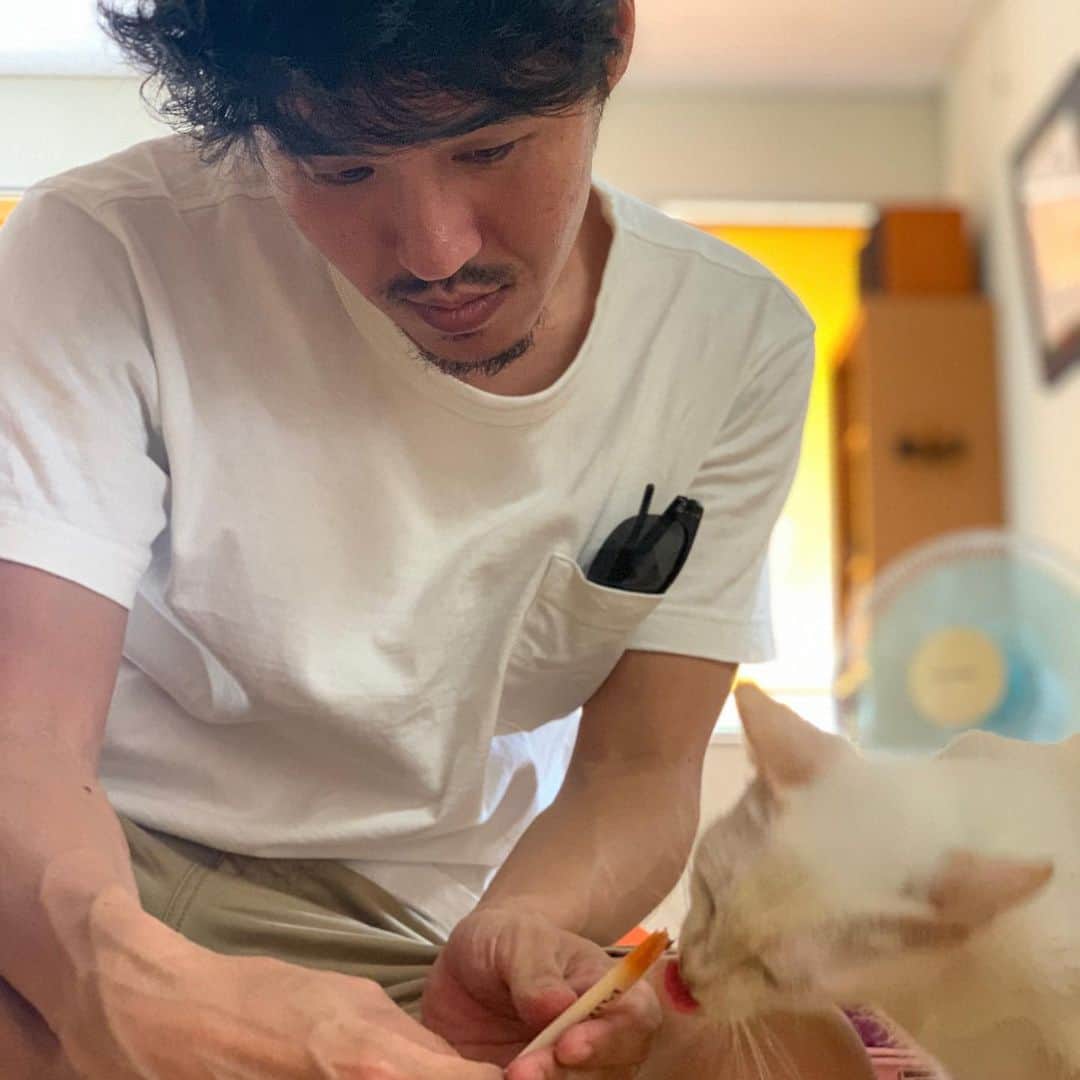 タテタカコさんのインスタグラム写真 - (タテタカコInstagram)「🍀 今晩は、19:30から 配信と生ライブがあります。 🥁ドラマーの中村亮さんと、 『生活の柄』で演奏させていただきます。 遠方の方ももしよろしかったらご覧になってください🙇‍♂️  🪐配信URLは　https://youtu.be/OZ6P_2wiNqI  タテタカコ（key/vo) 中村亮（dr） 生活の柄（栄町市場内） 11月24日（火） 開場18:30 開演19:30 3000円 1ドリンク別途 ※コロナ対策のため定員10名程度  https://piratsuka.com/top/detail?id=629347#visited」11月24日 14時26分 - tatetakako