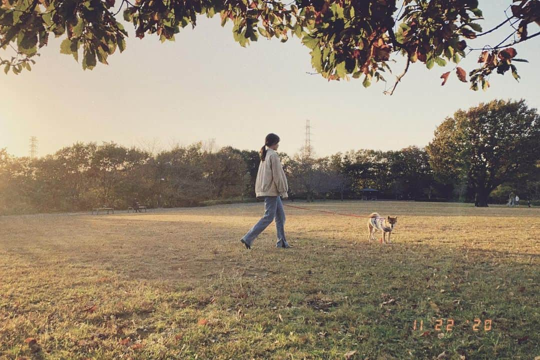 若林薫のインスタグラム：「🐕🚶🏻‍♂️🍂」