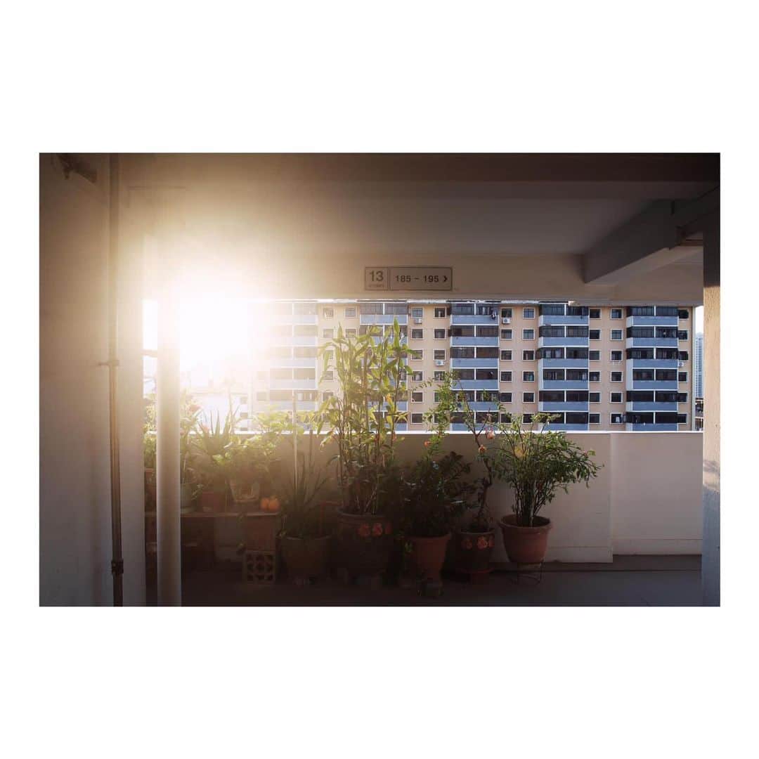 ジャニス・ウン・リーのインスタグラム：「161001  My place of residence for almost all my life. After growing up with all of the memories of the times spent with my grandparents, its really heartbreaking to know that I have to leave this place. It's also a waste that I did not collect older photographs of Blk 1, but thankfully @jyangsterr got the latest version documented.」