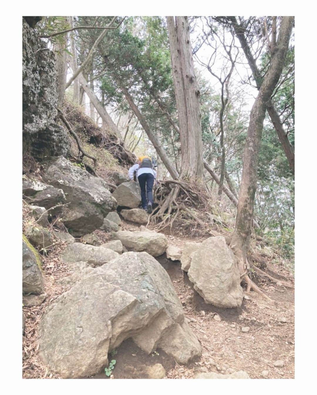 fumikaさんのインスタグラム写真 - (fumikaInstagram)「⛰﻿ ﻿ 昨日のこと。  #大山 に登ってきた。﻿ #ヤビツ峠 ルート。﻿ ﻿ 初級編レベルらしいけど…﻿ すんごく登りがいある山だったぞ!?﻿ ﻿ 神奈川が一望できる景色にも感動。﻿ これは夜景も綺麗だろうなぁ。﻿ ﻿ やってみたかった﻿ 山頂でお湯沸かしてカップヌードル。﻿ たまらん🤤﻿ ﻿ 最後に #大山阿夫利神社 に出て下山。﻿  #山登り #climbing #山はいいよなぁ #次はどの山登ろうか」11月24日 15時58分 - fumikasingasong