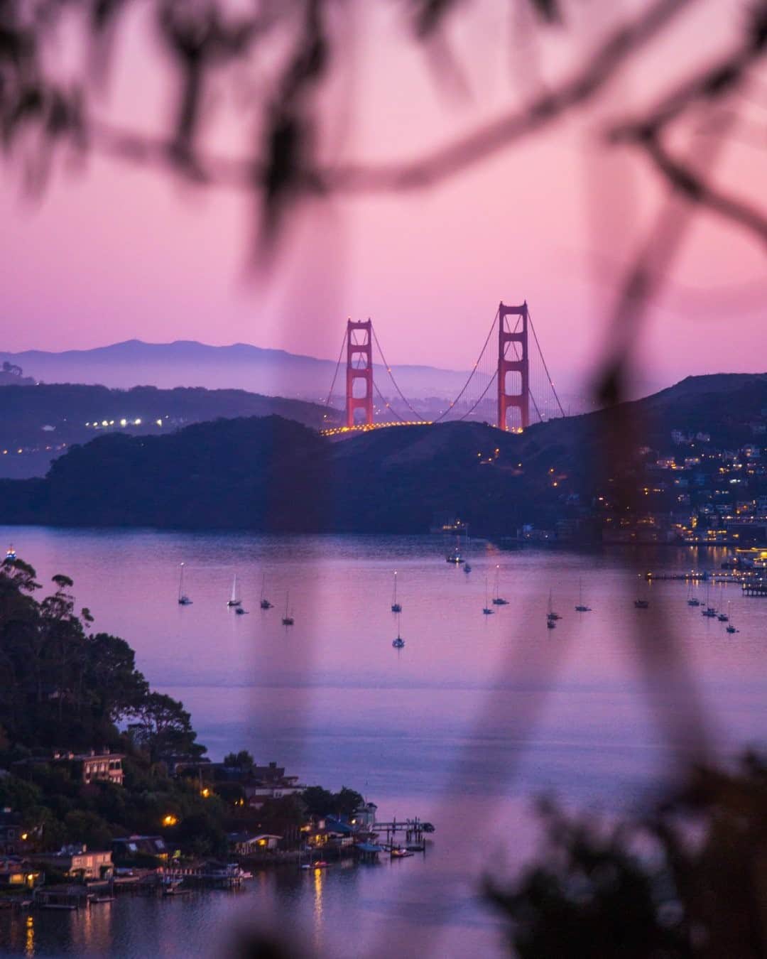 National Geographic Travelさんのインスタグラム写真 - (National Geographic TravelInstagram)「Photo by @emilypolar / When I was staying in the Bay Area last summer, I found a big eucalyptus tree perched on a hillside looking out to this view. It was a lovely spot to watch the daylight fade. Some days there were colors like this; other days there was only fog, with the tips of the Golden Gate Bridge peeking out. No matter the weather, it was always beautiful. To see more of the world through a frame, follow me @emilypolar. #SanFrancisco #California」11月24日 16時39分 - natgeotravel